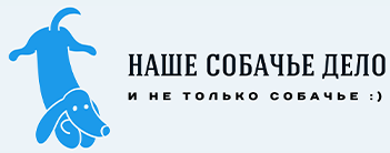 На главную